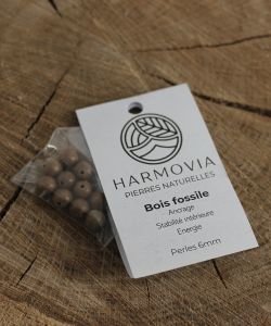 Perles Bois Fossile 6mm, 1 pièce